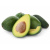 avacado-600x600