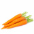 carrot-600x600