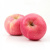 fuki_apple_l-600x600_1122995010