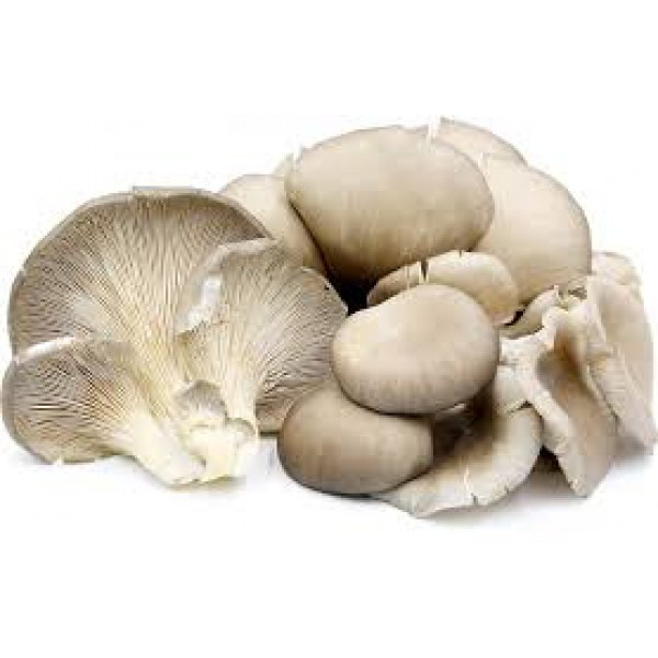 015-mushroom