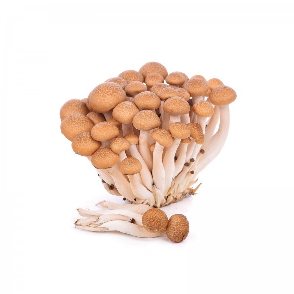 brown_beech_mushroom_125g-600x600