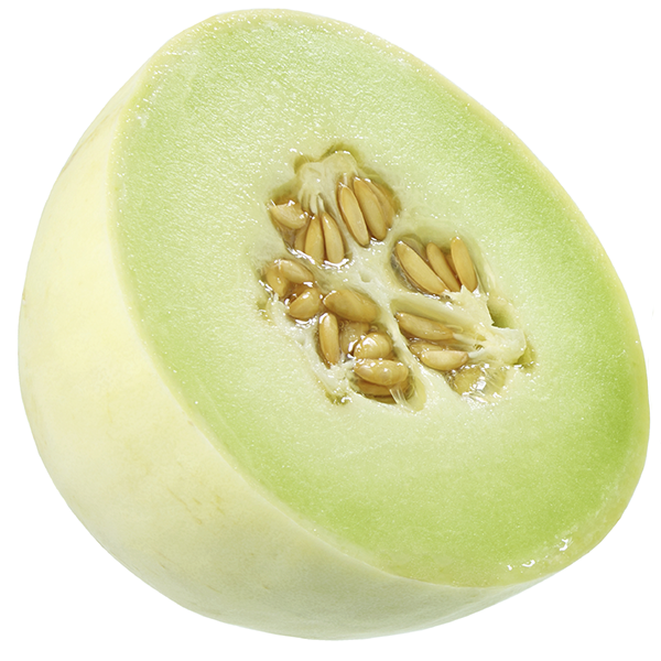 honeydew-600x600_239186497