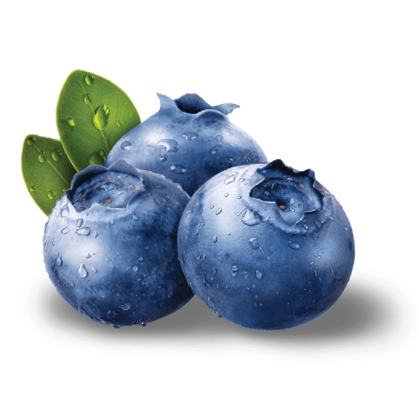 pngwing_com-600x600