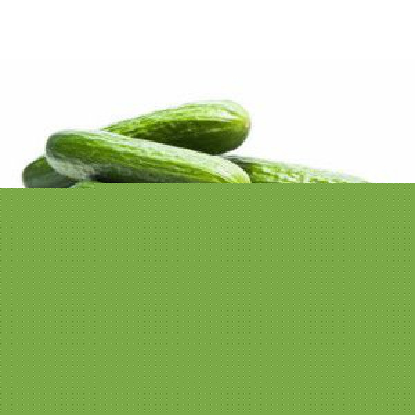 timun_baby_cucumber_baby-600x600