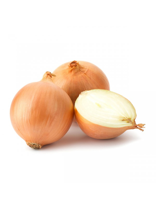 bawang_besar-600x600