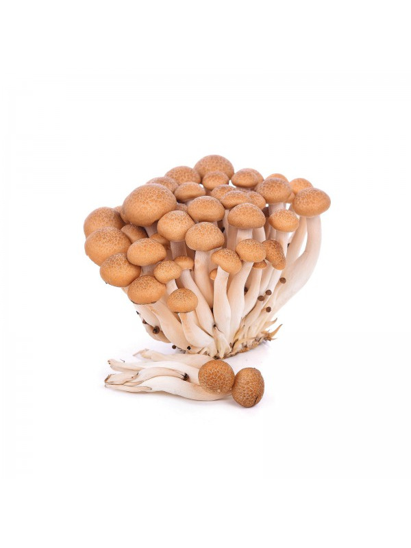 brown_beech_mushroom_125g-600x600