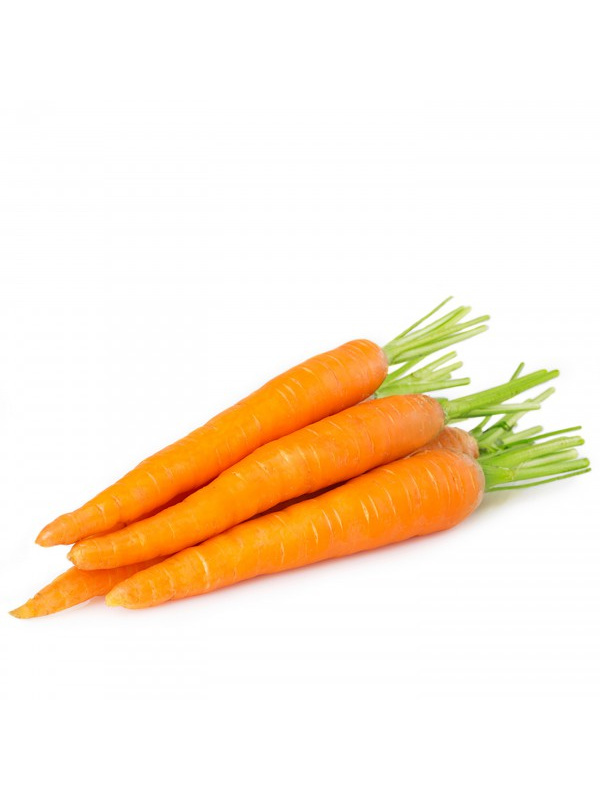 carrot-600x600